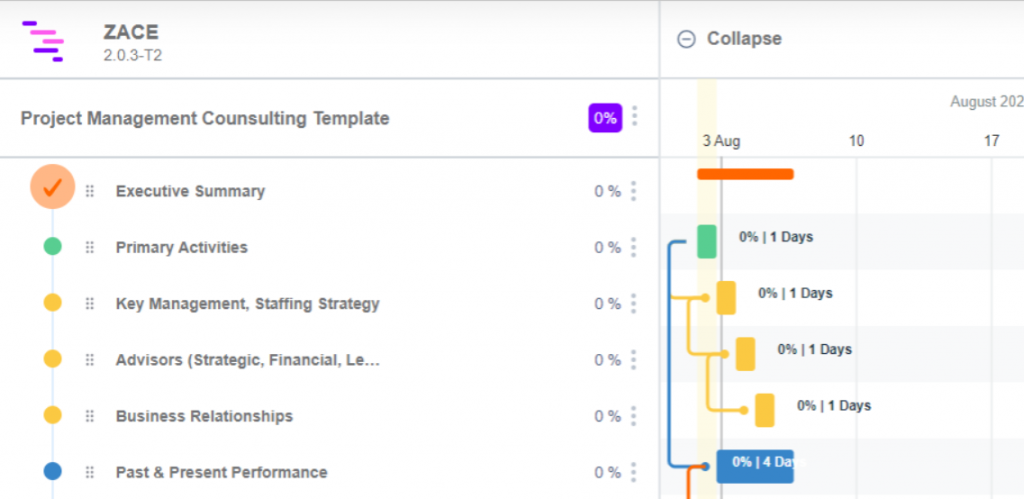 consultant template