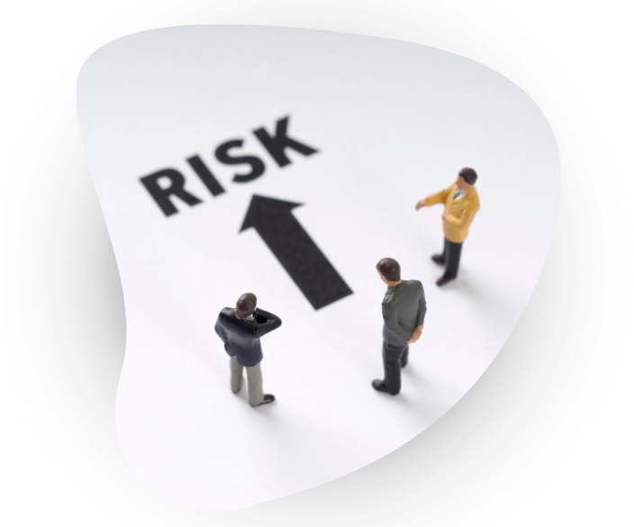 software_risk